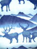 609P081 Elk blue